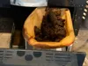 0.2mm layer, 6 walls, 25% infill