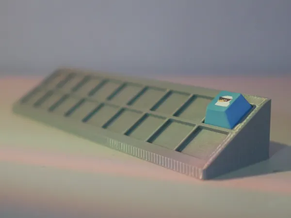 https://makerworld.bblmw.com/makerworld/model/US2ba3b5fdfd92db/design/2025-06-23_e1564402455578.jpg
