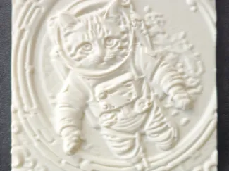 Astronaut cat