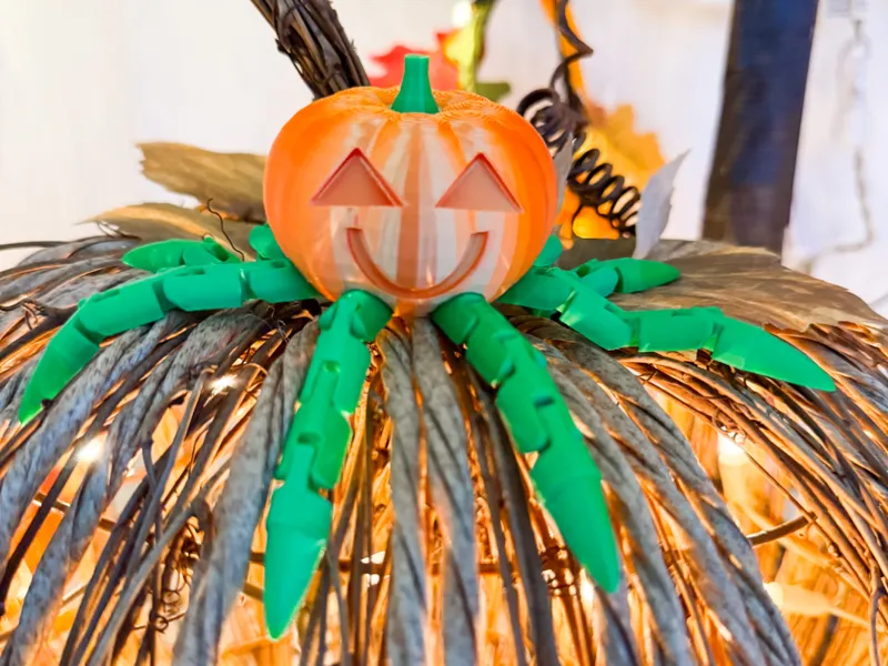 Pumpkin Octopus