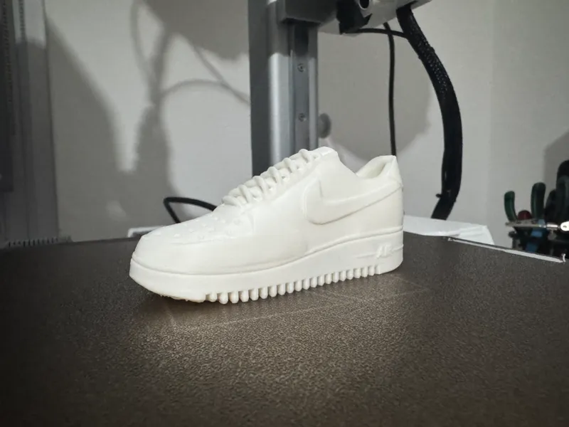 Air Force Shoe