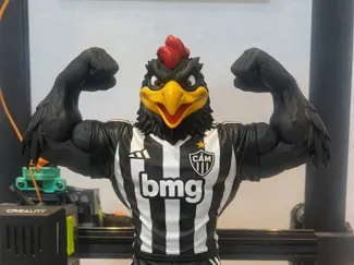 GALO DOIDO_JANJOTA44