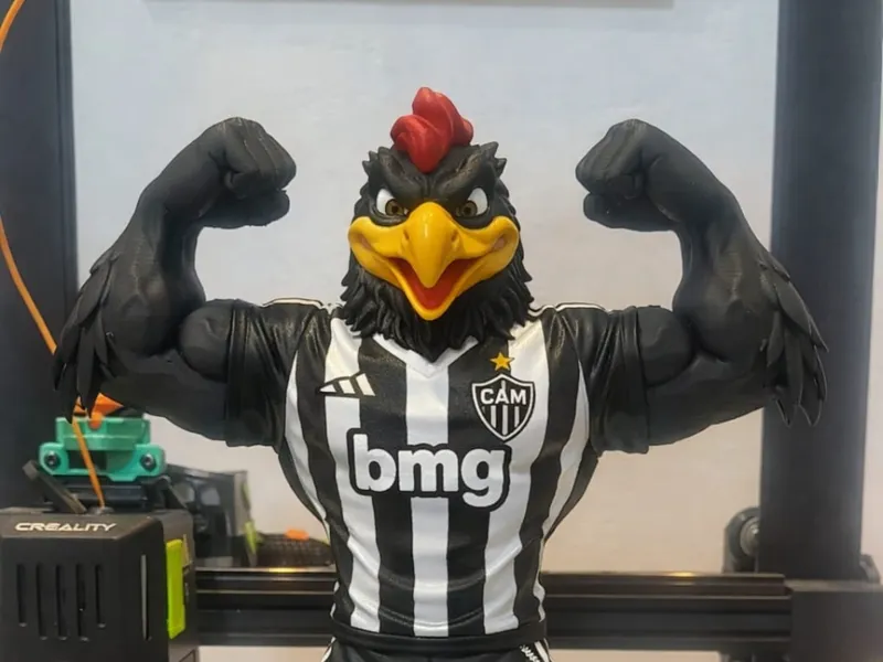 GALO DOIDO_JANJOTA44