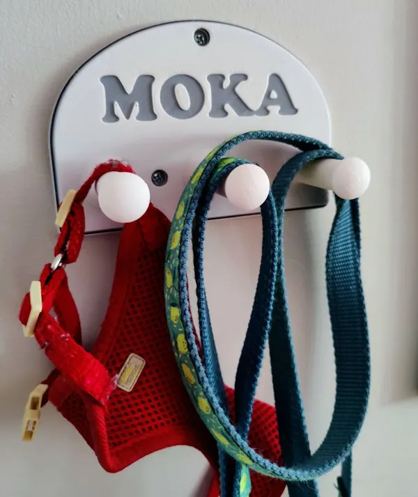 https://makerworld.bblmw.com/makerworld/model/US2baa975368c098/design/2024-05-20_v1v2z4jnhd90.jpg