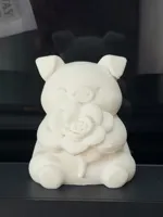 小猪花花