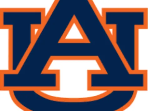 Auburn pixel puzzle