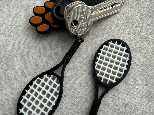 https://makerworld.bblmw.com/makerworld/model/US2bb2d7eaa995b3/design/2024-07-18_c40d0cec9efd1.jpeg