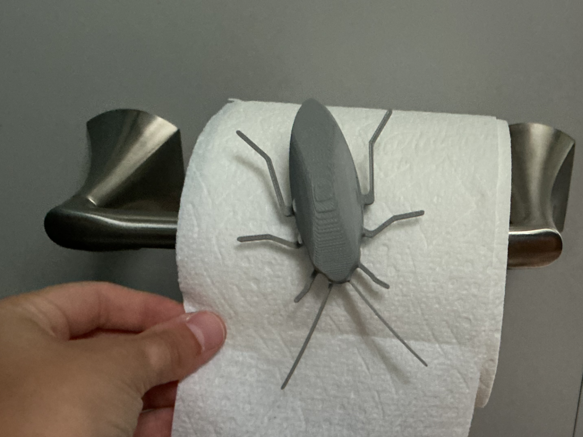 Toilet Paper Prank