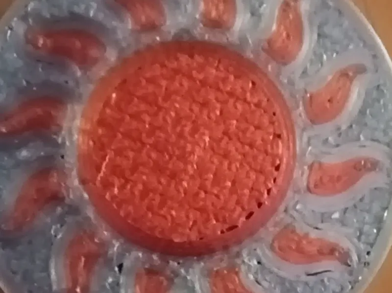 Sun Moon Coin