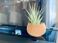 Mini vase pour plante aérienne — photo 2