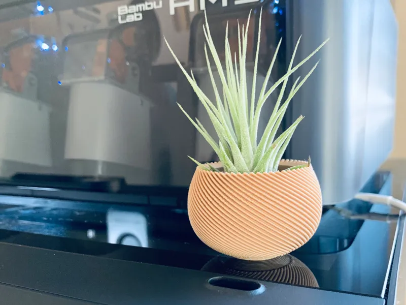 Air Plant Mini Vase