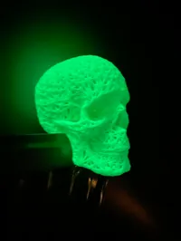 Crâne phosphorescent — photo 6