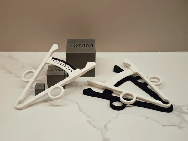 https://makerworld.bblmw.com/makerworld/model/US2bc1d6d8a6d6e2/design/2024-12-09_da577fc7eb5b9.jpg