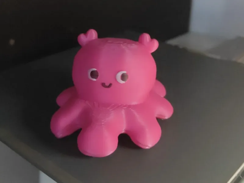 polipo octopus