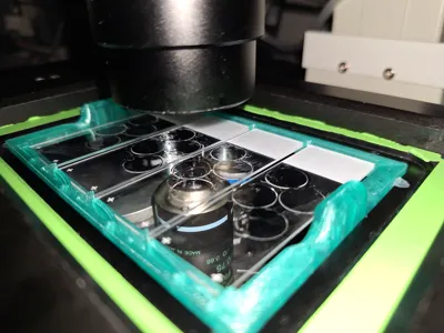 Multi-Slide Microscope Adapter (4 Slides)