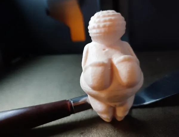 https://makerworld.bblmw.com/makerworld/model/US2bc44cd838be7e/design/2024-02-03_a1bf4e4bfa87b8.jpg