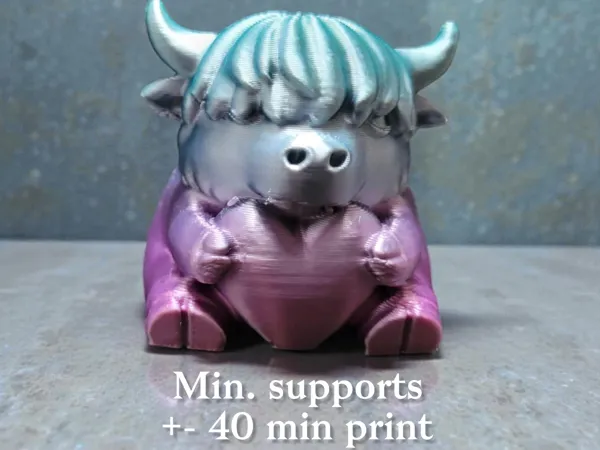 https://makerworld.bblmw.com/makerworld/model/US2bc956a420a7e1/design/f7c7bea420821999.jpg