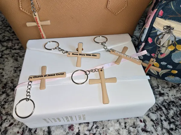 https://makerworld.bblmw.com/makerworld/model/US2bcf1256cf5529/design/2024-08-18_76997030701378.jpg