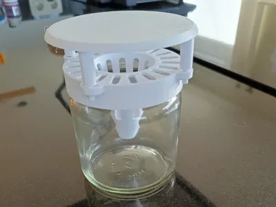hornet trap
