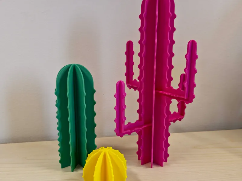 Minimal Cactus