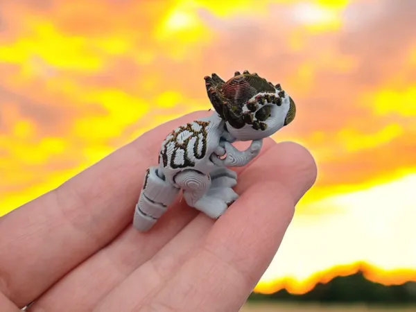 https://makerworld.bblmw.com/makerworld/model/US2bdb33359e905/design/2024-11-20_93ee1d0ae14ca.jpg