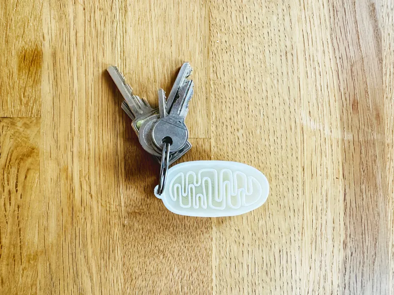 Mighty Mitochondria Key Fob