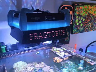r60 fragtopus lightcover