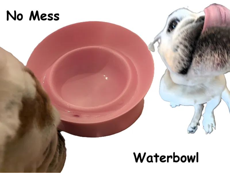 Bulldog water bowl No Mess!