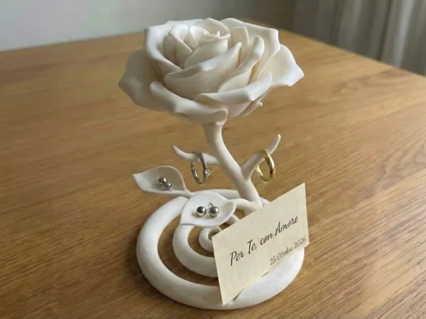 https://makerworld.bblmw.com/makerworld/model/US2be3908f6a5a94/design/f2cd29e1384020c8.jpg