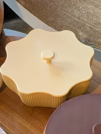 Lid for this bowl