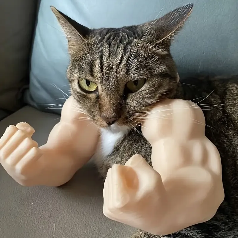 Cat Biceps 3D view 3