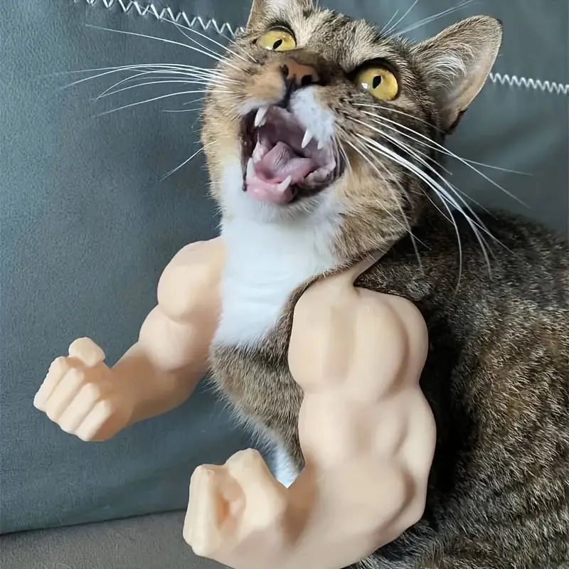 Cat Biceps 3D view 4