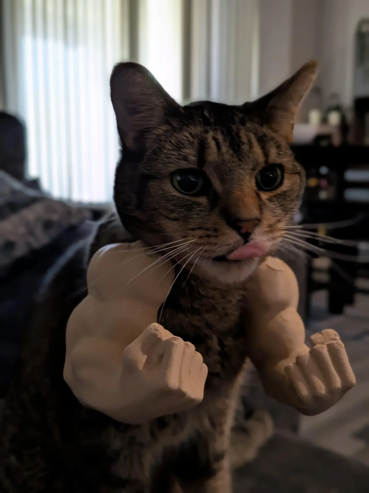 Cat Biceps 3D view 2