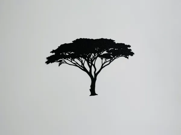 Acacia – déco murale