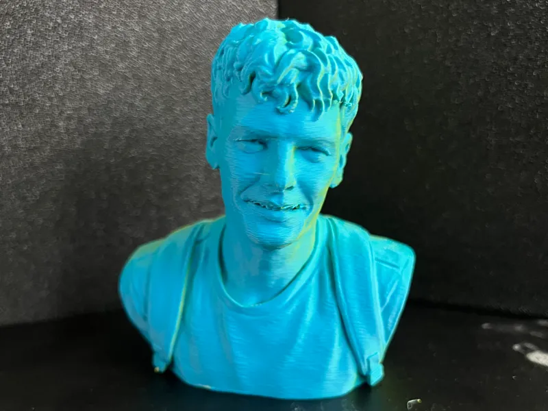 Young Man Bust