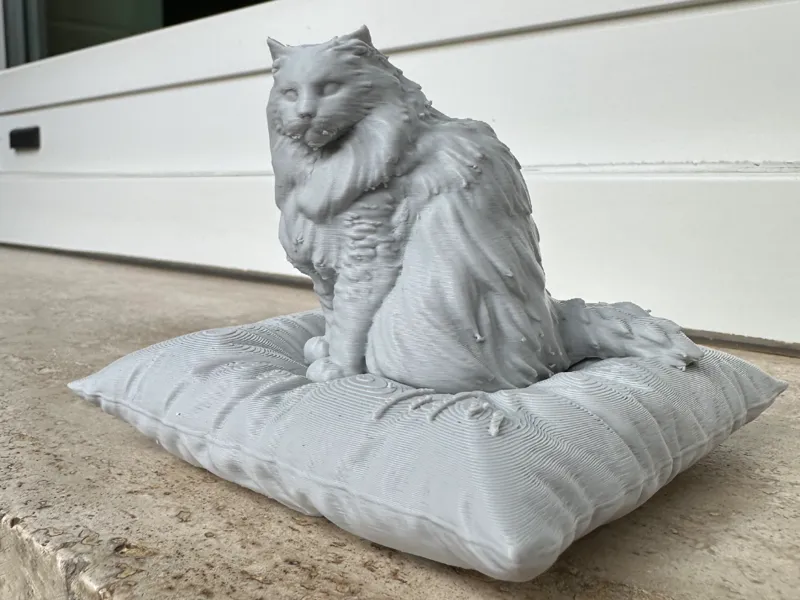 Gatto su cuscino