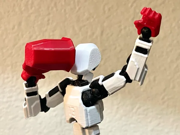 https://makerworld.bblmw.com/makerworld/model/US2bee9ff61da89d/design/2024-08-07_cdbf57270974.jpg