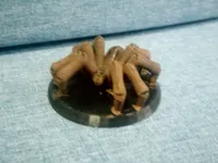 0.16mm layer, 2 walls, 15% infill