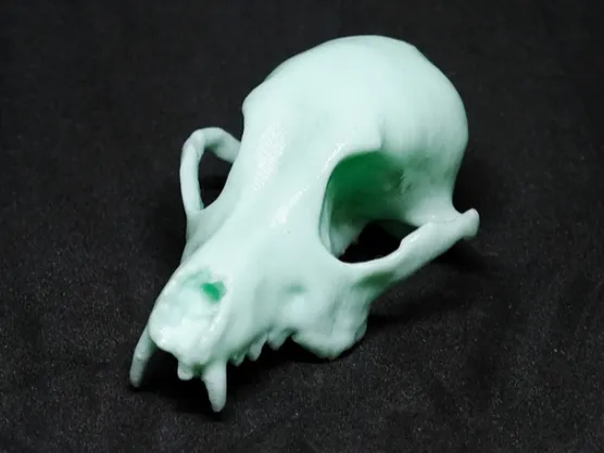 https://makerworld.bblmw.com/makerworld/model/US2bf470437b539e/design/2024-10-05_385f57d6a855.png