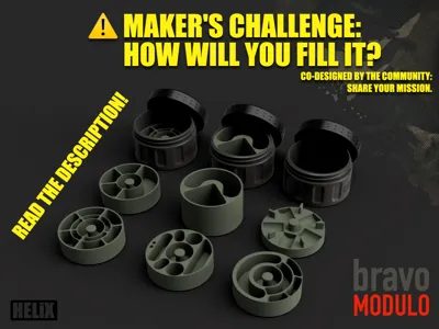BRAVO-MODULO: The Challenge – Beyond the Standard