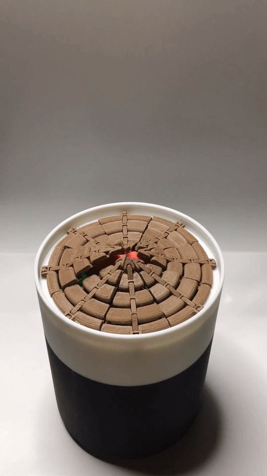 Growing Potted Plant Flowerpot