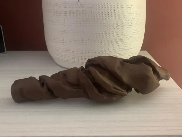 https://makerworld.bblmw.com/makerworld/model/US2bf799a87cd4ba/design/2024-11-02_fe2afdfad1321.jpg