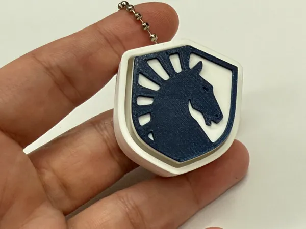 https://makerworld.bblmw.com/makerworld/model/US2bf9d53b45122d/design/2025-07-28_ab7c871bd86c88.jpeg