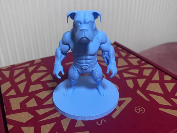 https://makerworld.bblmw.com/makerworld/model/US2bfbcbc7cf668e/design/2025-01-08_dbd7aaa92baec.jpg