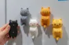 Fridge Magnet Version-P2S