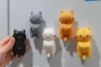 Fridge Magnet Version-P2S