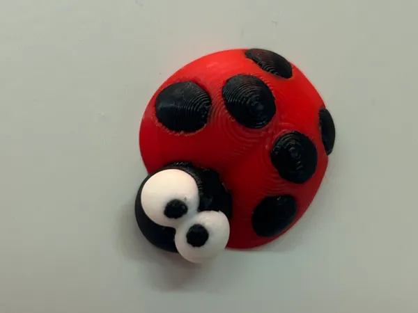 https://makerworld.bblmw.com/makerworld/model/US2c042bfedb8866/design/2025-11-06_5d9bdd5116ada8.jpeg