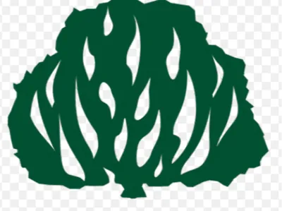 Presbyterian Burning Bush