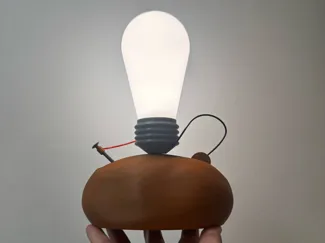 Potato-Powered Lamp