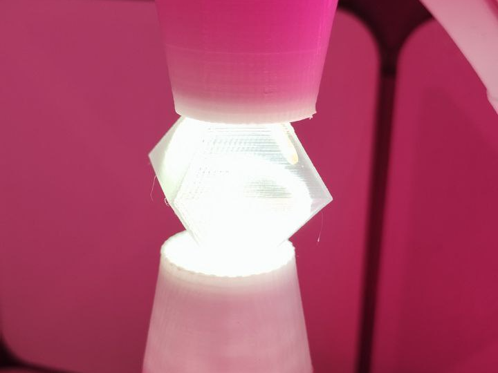 neon LED spiral lamp